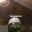 Antigua lampara de opalina - Imagen 1